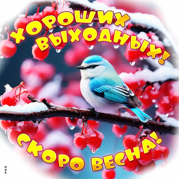 Postcard яркая картинка хороших выходных