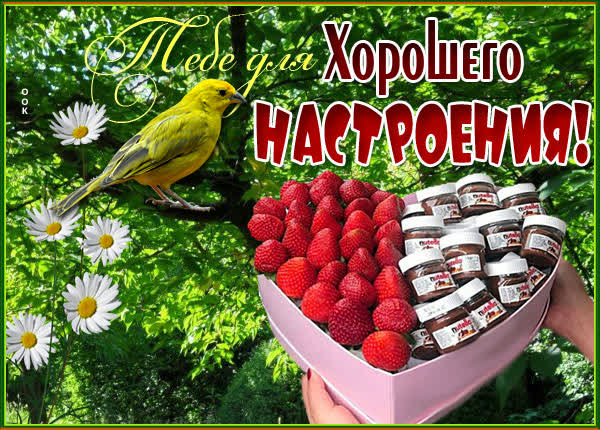 Picture яркая открытка для хорошего настроения