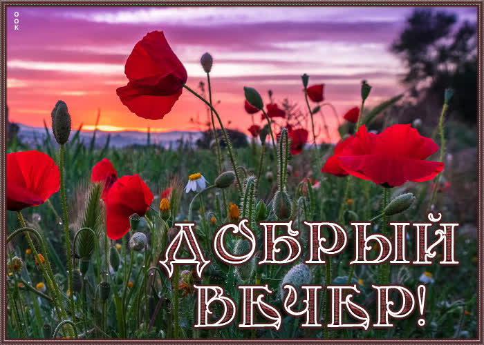 Picture яркая открытка добрый вечер