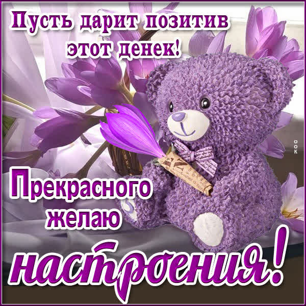 Picture яркая открытка прекрасного желаю настроения