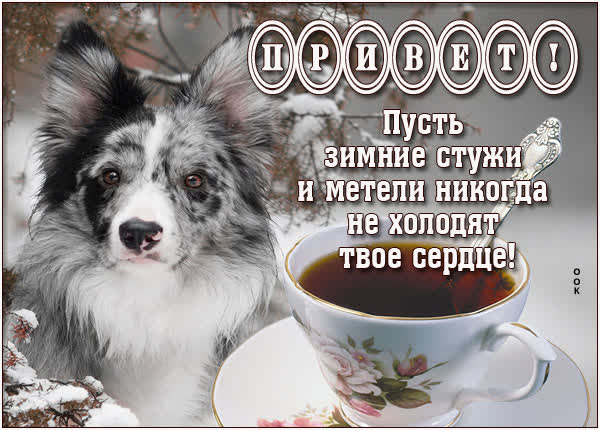 Picture яркая открытка привет