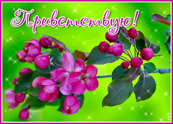 Picture яркая открытка приветствую