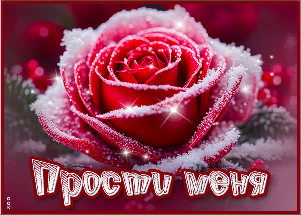 Picture яркая открытка прости меня