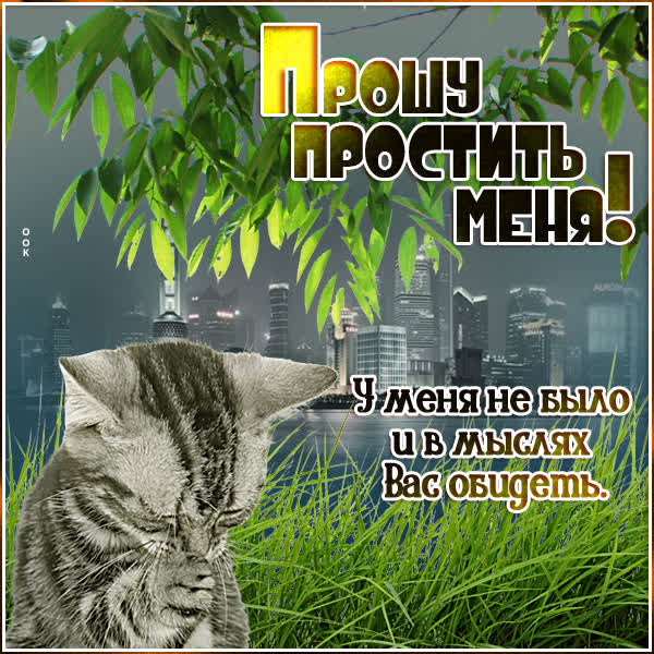 Picture яркая открытка прошу простить меня
