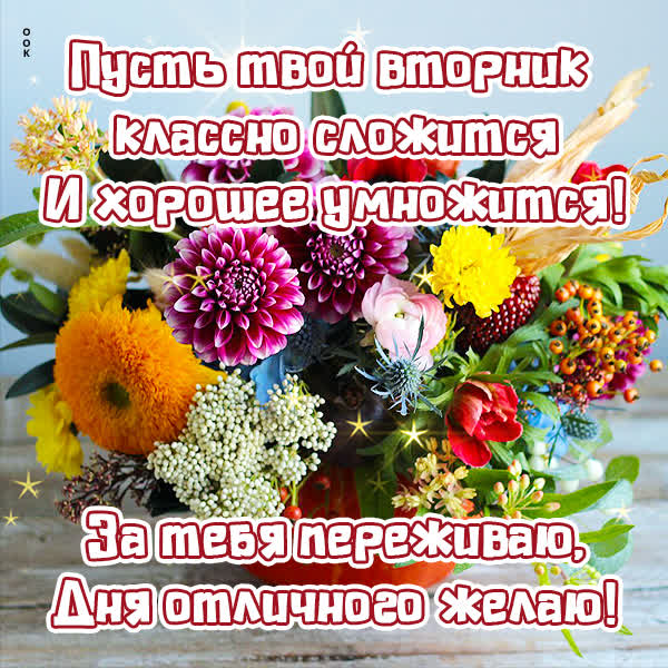 Postcard яркая открытка пусть твой вторник классно сложится