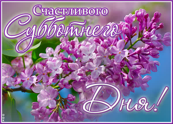 Postcard яркая открытка счастливого субботнего дня