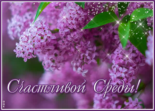 Postcard яркая открытка счастливой среды