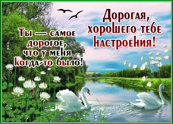 Picture яркая открытка хорошего тебе настроения