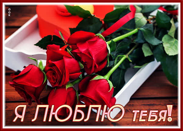 Postcard яркая открытка я люблю тебя