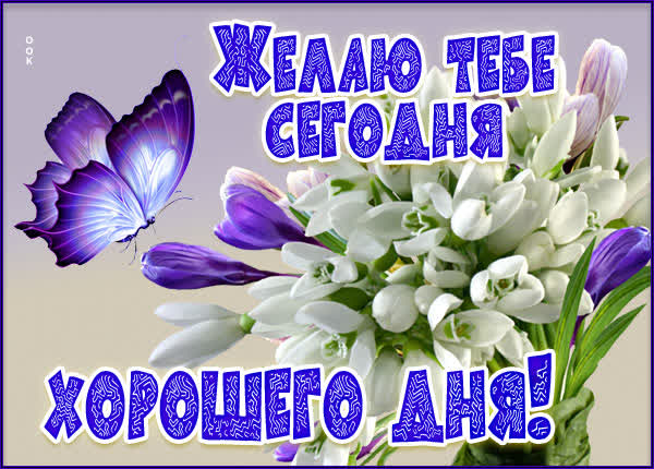 Picture яркая открытка желаю тебе сегодня  хорошего дня