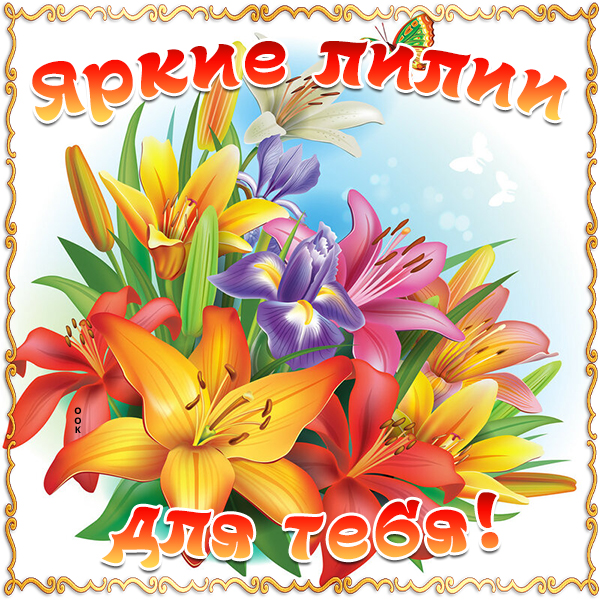 Картинка яркие лилии для тебя