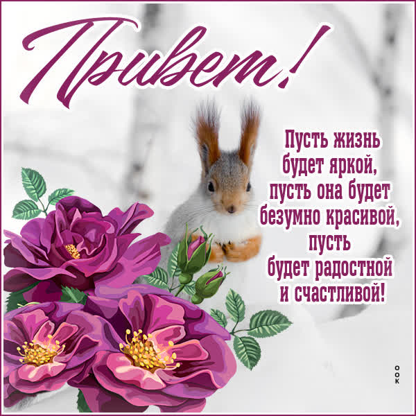 Postcard замечательная картинка привет