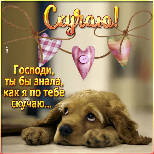 Postcard замечательная картинка скучаю