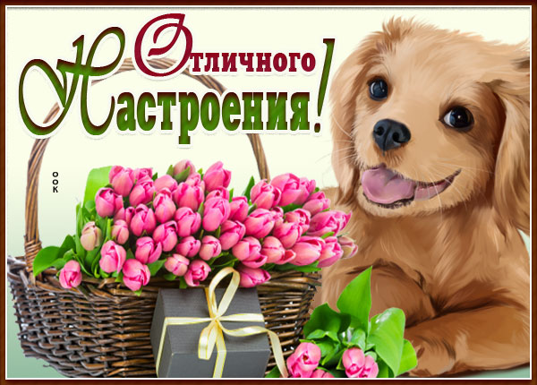 Картинка замечательная открытка для настроения