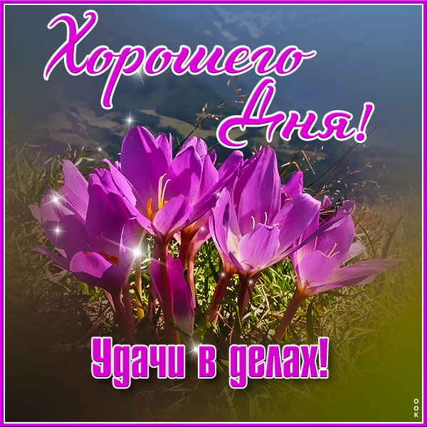 Картинка замечательная открытка хорошего дня