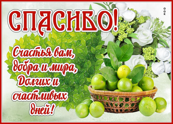 Картинка замечательная открытка спасибо