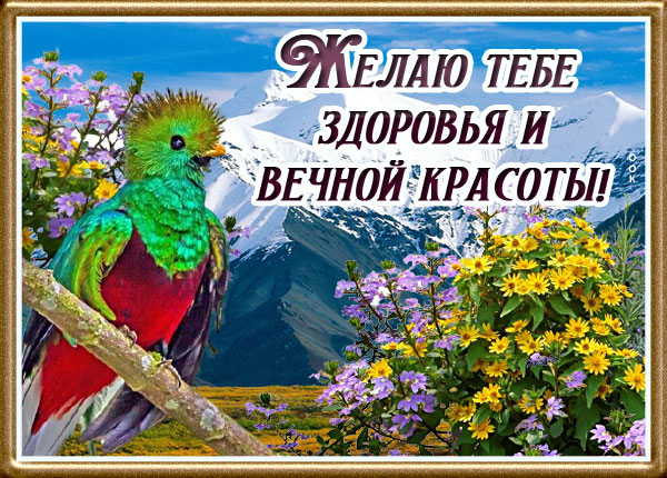Картинка желаю счастья тебе большого