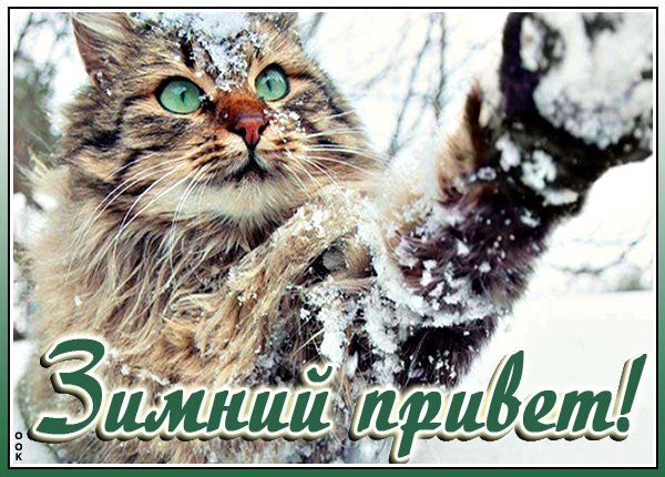 Открытка зимняя картинка привет