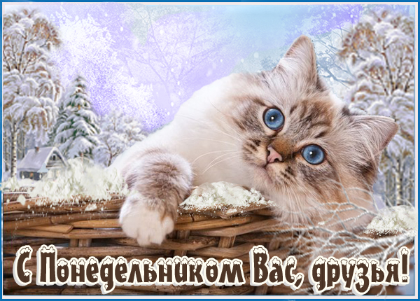 Открытка зимняя картинка с понедельником вас, друзья