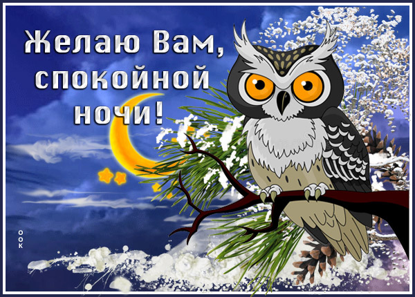 Картинка зимняя картинка спокойной ночи