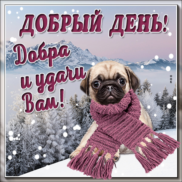 Картинка зимняя открытка добрый день