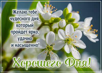 Picture артистичная картинка хорошего дня