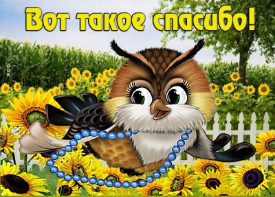 Открытка благодарность от всех души
