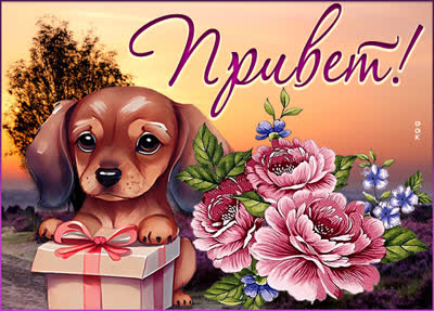 Postcard благоприятная открытка привет