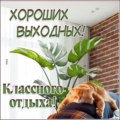 Postcard блестящая открытка хороших выходных с котом