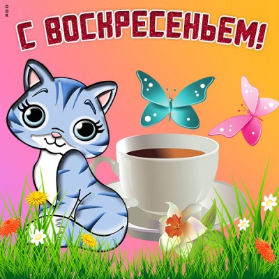 Картинка чудесная картинка с воскресеньем
