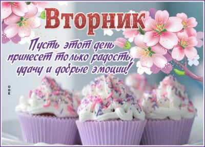 Картинка чудесная картинка с вторником