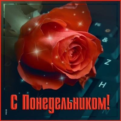 Картинка чудесная открытка понедельник
