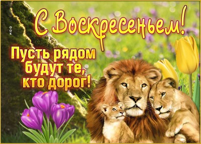 Картинка чудесная открытка с воскресеньем