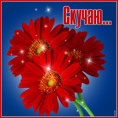 Картинка чудесная открытка скучаю