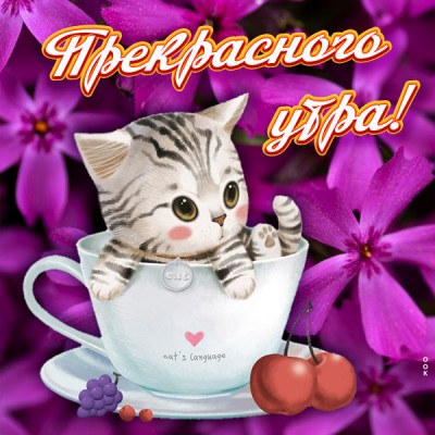 Открытка чудесного утра