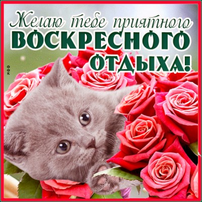 Открытка чудесного воскресенья хочется пожелать