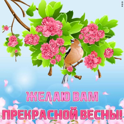 Картинка чудесной весны желаю всем моим близким