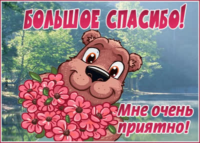 Postcard чудесная картинка большое спасибо