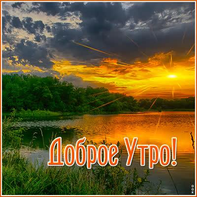 Postcard чудесная картинка доброе утро