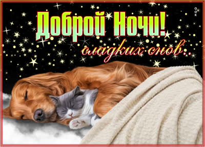Postcard чудесная картинка доброй ночи