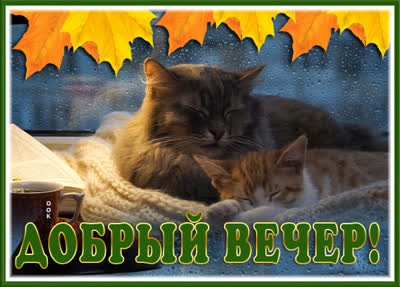 Picture чудесная картинка добрый вечер