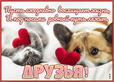 Postcard чудесная картинка друзья