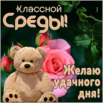 Picture чудесная картинка классной среды