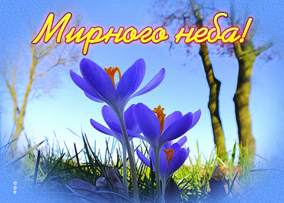 Picture чудесная картинка мирного неба