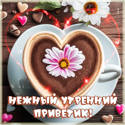 Postcard чудесная картинка нежный утренний приветик
