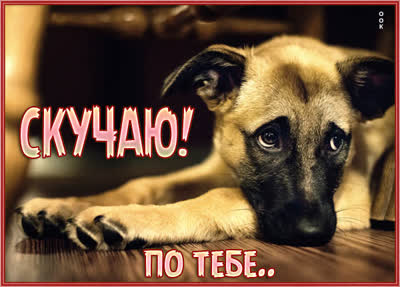 Postcard чудесная картинка очень скучаю по тебе