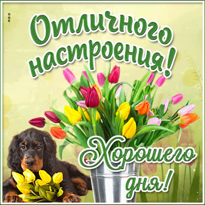 Picture чудесная картинка отличного настроения