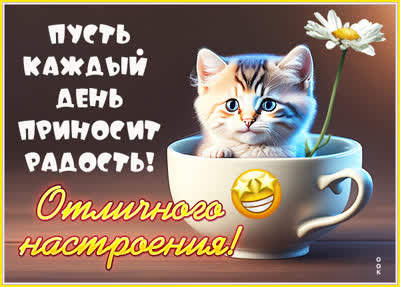 Postcard чудесная картинка отличного настроения