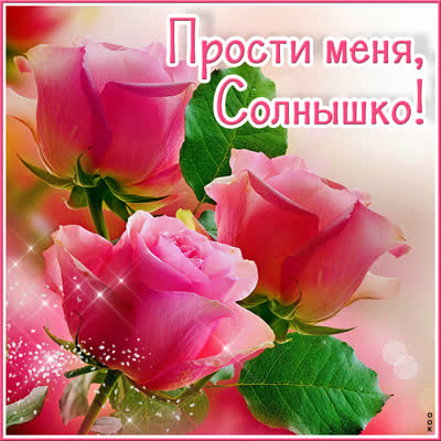 Postcard чудесная картинка прости меня солнышко
