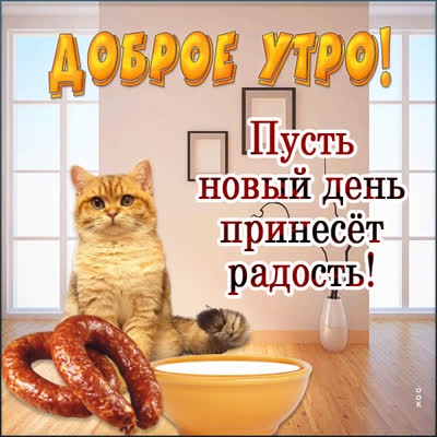Postcard чудесная картинка пусть день принесет радость